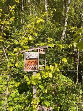 Foto - Grundst&uuml;ck in Bad Salzungen