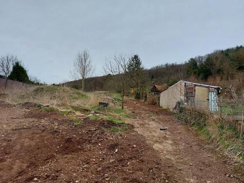 Foto - Einfamilienhaus in Sangerhausen zum Kaufen