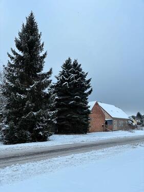 Foto - 3 Zimmer Einfamilienhaus zur Miete in Löwenberger Land
