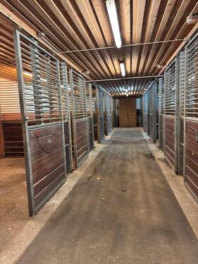 Foto - Reithalle mit Stallungen und Reitplatz zu verpachten