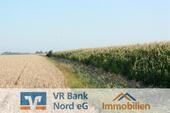 Foto - Verpachtung von ca. 8,13 Hektar Landwirtschaftsfläche -Ackerland-