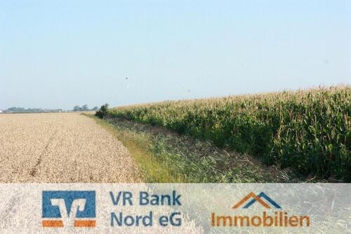 Foto - Verpachtung von ca. 8,13 Hektar Landwirtschaftsfläche -Ackerland-