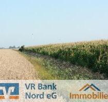 Verpachtung von ca. 8,13 Hektar Landwirtschaftsfläche -Ackerland- - Klanxbüll