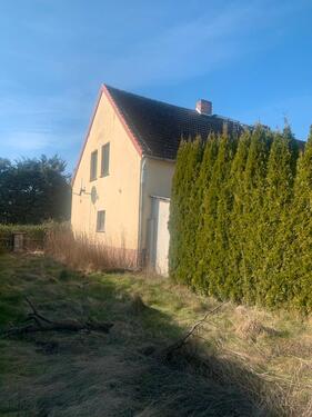 Foto - 7 Zimmer Einfamilienhaus zum Kaufen in Mühlenbecker Land