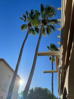 Foto - andere in Bremen zur Miete