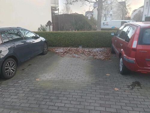 Foto - PKW Stellplatz zur Miete - 40,00 EUR Miete,