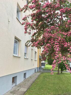 Foto - Gemütliche 2-Zimmer-Wohnung mit Balkon in Baunatal-Großenritte