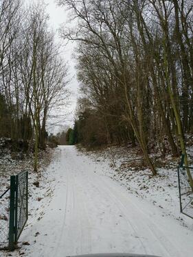 Foto - Grundst&uuml;ck zur Miete in Blankenfelde-Mahlow
