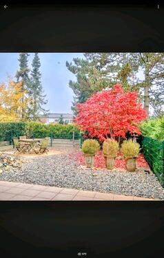 Foto - 3 Zimmer Terrassenwohnung zum Kaufen in Osnabrück