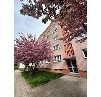 Helle, renovierte Wohnung mit Balkon nahe S-Bahnhof Süd - Dessau-Roßlau