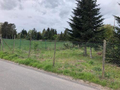 Foto - Biete Gartengrundstück ca 1000 qm