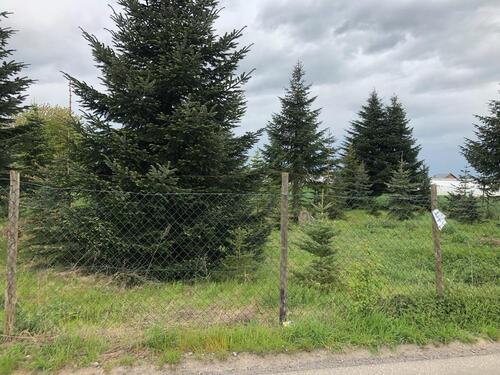 Foto - Grundst&uuml;ck zur Miete in Alfter