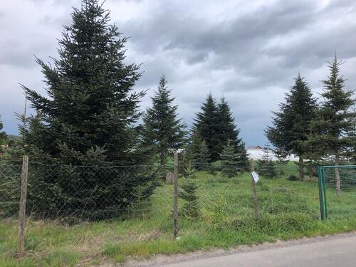 Foto - Grundst&uuml;ck in Alfter