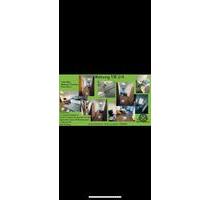 Monteurwohnung Wohnung Monteur miete Kurzzeit - Philippsburg