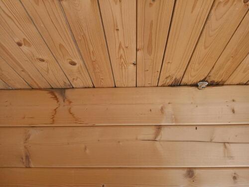 Foto - Grundstück in Bückeburg zur Miete