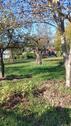 Foto - Einfamilienhaus in Kamenz zum Kaufen
