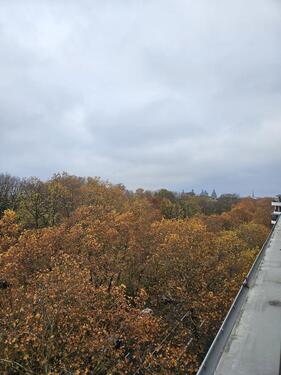 Foto - 3-Zimmer Wohnung im Herzen von Aschaffenburg zu Vermieten