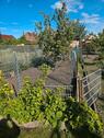 Foto - 4 Zimmer Einfamilienhaus in Seeland