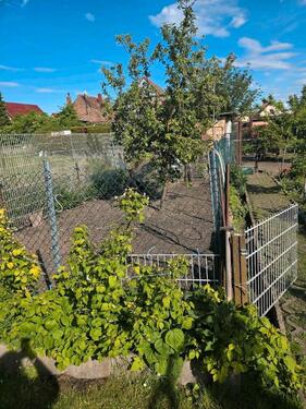 Foto - 4 Zimmer Einfamilienhaus in Seeland