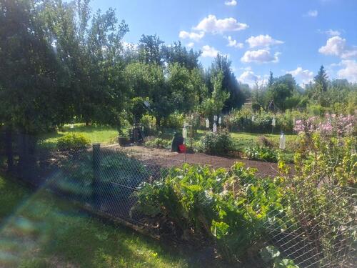 Foto - Grundst&uuml;ck in Halberstadt zur Miete