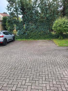 Foto - Stellplatz - 30,00 EUR Miete,