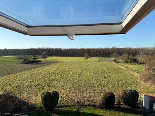 Foto - 2-Zimmer DG-Wohnung mit neuer EBK an Einzelperson zu vermieten