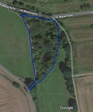 Foto - Grundstück mit Quelle für Naturliebhaber abzugeben