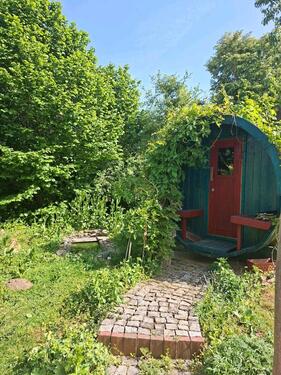 Foto - Einfamilienhaus in Röhrmoos zum Kaufen