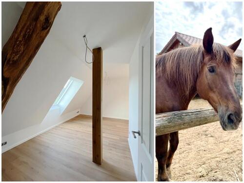 Foto - Einfamilienhaus in Senden zur Miete