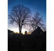 Räumlichkeiten für ihre Ideen - 600,00&nbsp;EUR Kaltmiete, ca.&nbsp; 95,00&nbsp;m&sup2; in Syke (PLZ: 28857)