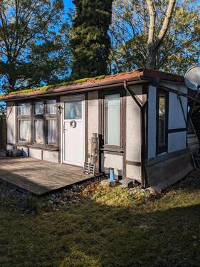 Foto - andere zum Kaufen in Brandis