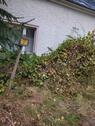 Foto - Einfamilienhaus in Thermalbad Wiesenbad zum Kaufen