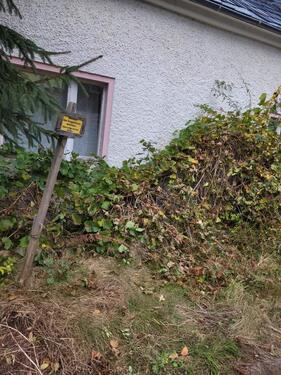 Foto - Einfamilienhaus in Thermalbad Wiesenbad zum Kaufen