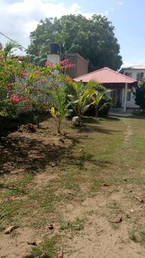 Foto - 11 Zimmer Einfamilienhaus zum Kaufen in Naumburg (Saale)