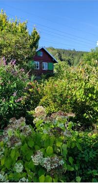 Foto - Idyllisches Gartengrundstück mit Tiny House in Zella-Mehlis