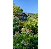 Idyllisches Gartengrundstück mit Tiny House in Zella-Mehlis