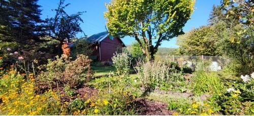 Foto - Grundstück zur Miete in Zella-Mehlis