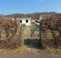 Garten Pacht Garten Schrebergarten - Hildesheim Oststadt/Stadtfeld