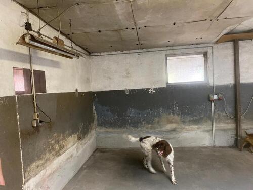 Foto - andere zur Miete in Langenfeld (Rheinland)