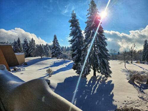 Foto - Wunderschöne Wohnung im Bayrischen Wald!! Tolle Ausstattung
