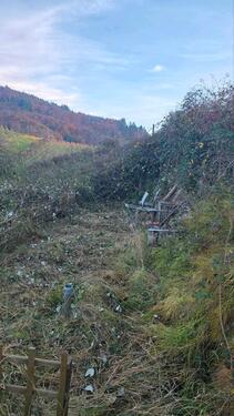 Foto - Grundstück zur Miete in Offenburg