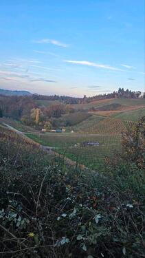 Foto - Grundstück in Offenburg
