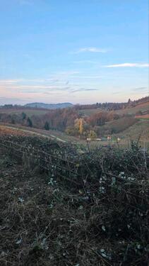Foto - Grundstück in Offenburg zur Miete