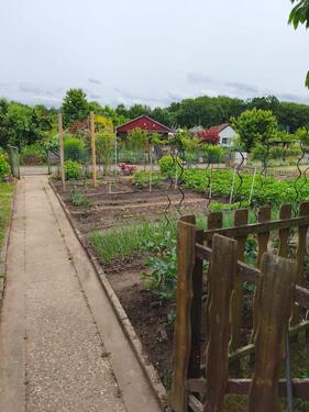 Foto - Grundst&uuml;ck in Braunschweig