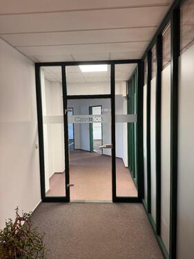 Foto - andere zur Miete in Greifswald