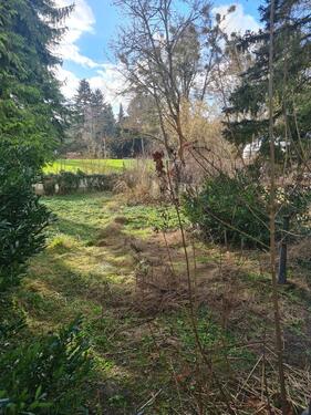 Foto - Einfamilienhaus in Sulzbach (Taunus) zum Kaufen