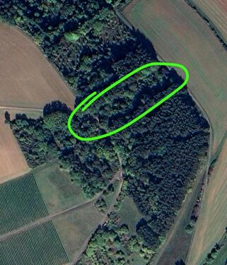 Foto - ForstflächeWildwiese in 97941 TBB-Dittigheim