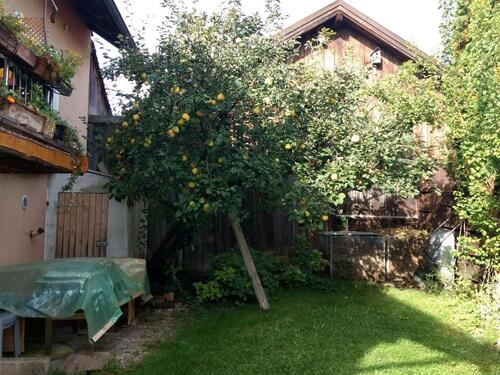 Foto - Etagenwohnung zur Miete in Velden