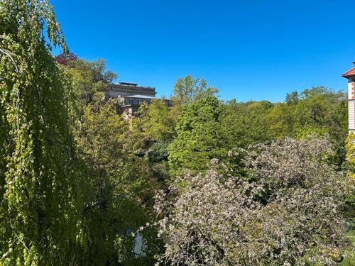 Foto - Traumwohnung im östlichen Ringgebiet