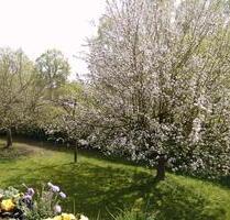 Schöne freie 1-Zimmer Wohnung - 109.000,00&nbsp;EUR Kaufpreis, ca.&nbsp; 35,00&nbsp;m&sup2; in Pocking (PLZ: 94060)